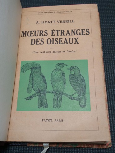 MOEURS ÉTRANGES DES OISEAUX