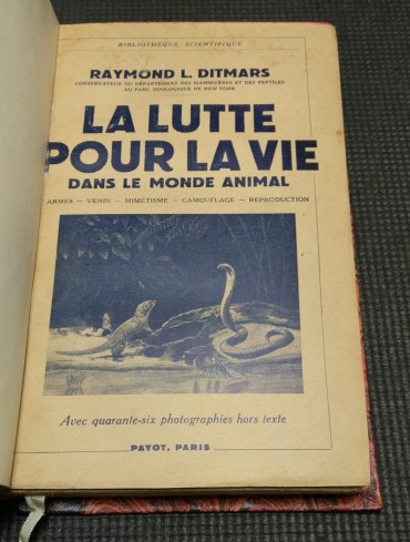 LA LUTTE POUR LA VIE Dans Le Monde Animal