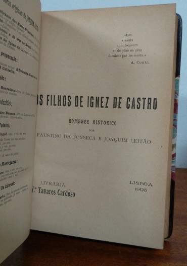 OS FILHOS DE IGNEZ DE CASTRO