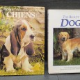 Dois livros sobre cães 