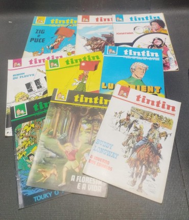 Nove bandas desenhadas do Tintin 