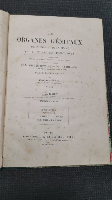 «Les organes génitaux de l'homme et de la femme»