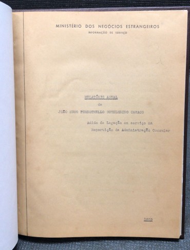 «Relatório Anual de João Nuno Perestrello Botelheiro Carvalho»