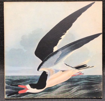 «John James Audubon - Peintre Naturaliste Américain» 