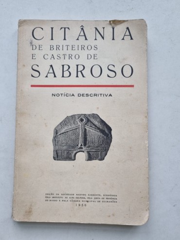 CITÂNIA DE BRITEIROS E CASTRO DE SABROSO