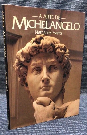 «A Arte de Michelangelo» 